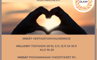 TOIVO Vertaistukivalmennus 2024 (29.10., 5.11., 12.11. & 19.11.)